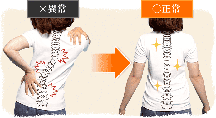 骨盤は身体の中心にあり、脊髄を支える身体の要